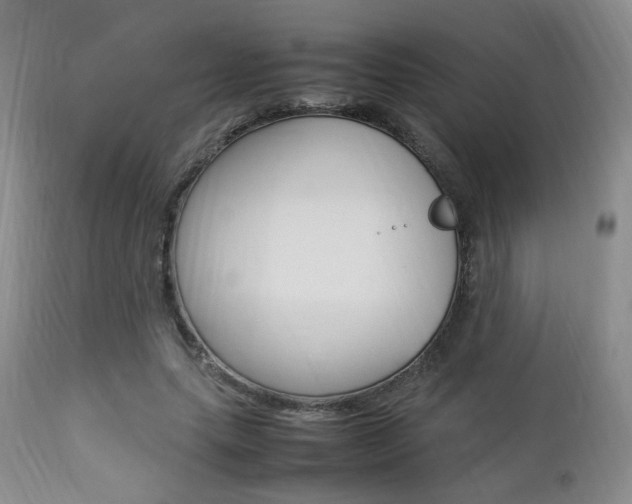 X0000112850639200908211032