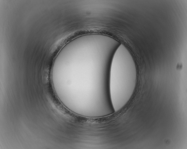 X0000112850640200908211032
