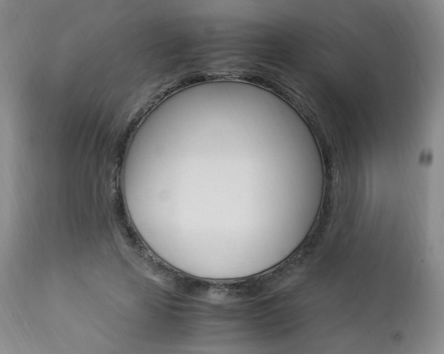 X0000112850641200908211032