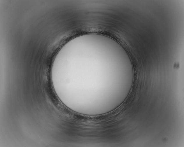 X0000112850643200908211032