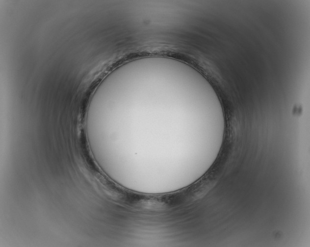 X0000112850644200908211032