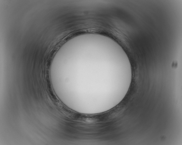 X0000112850645200908211032