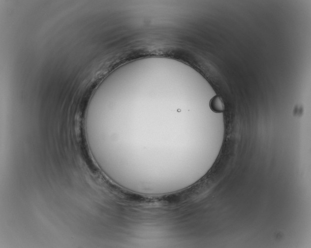 X0000112850646200908211032