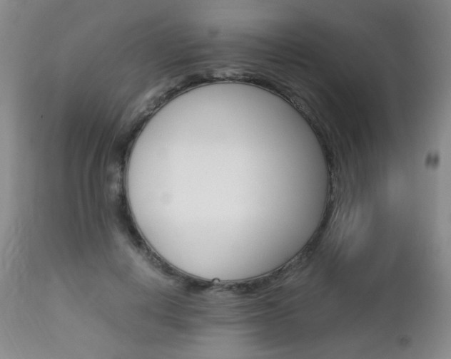 X0000112850648200908211032