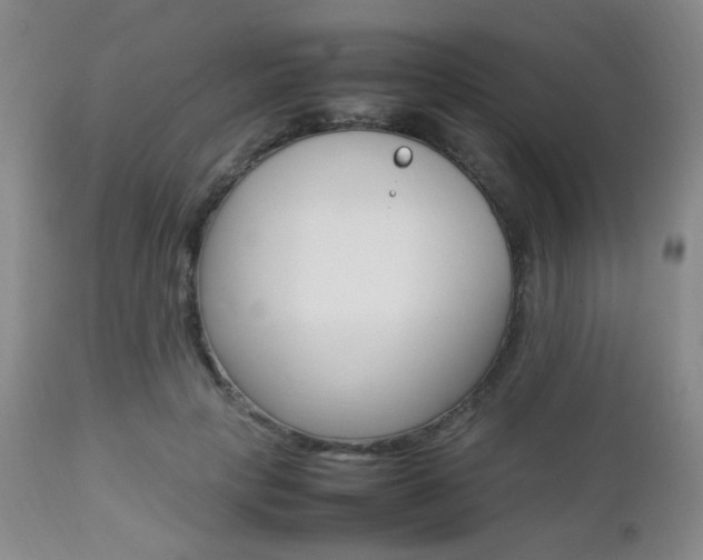 X0000112850649200908211032