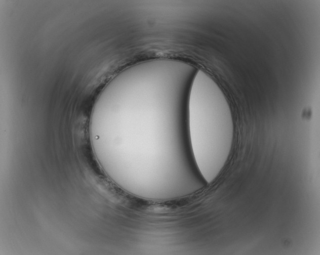 X0000112850650200908211032