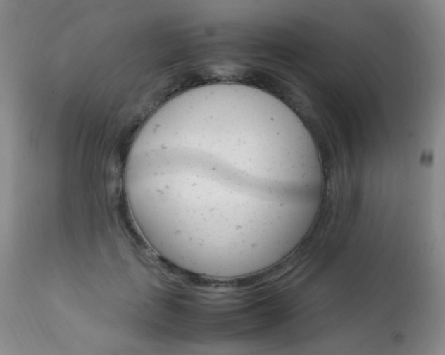 X0000112850651200908211032