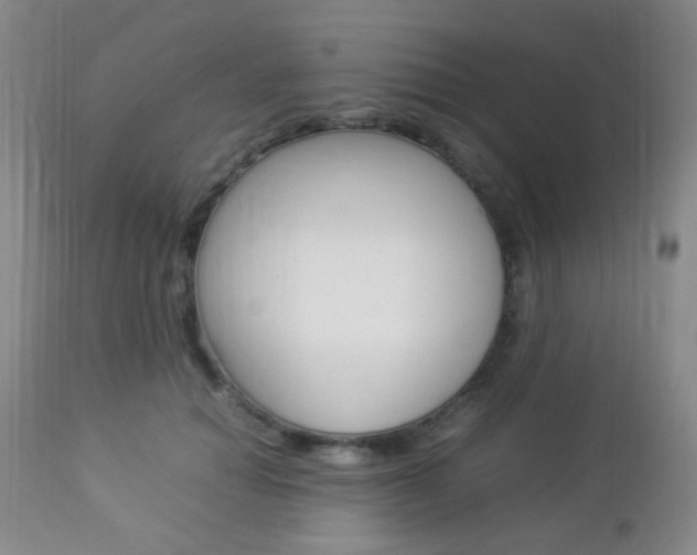 X0000112850654200908211032