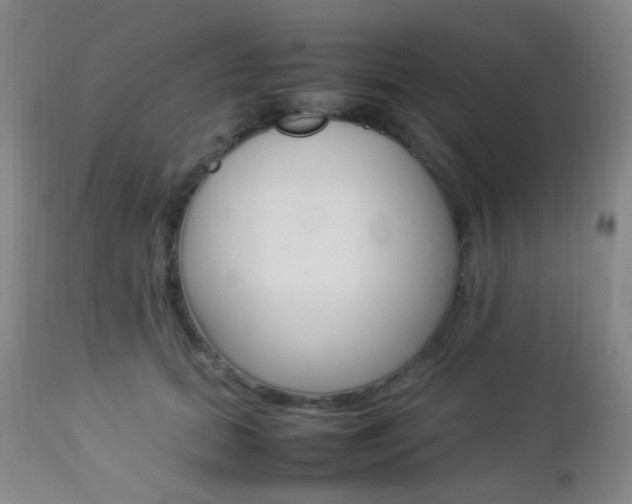 X0000112850655200908211032