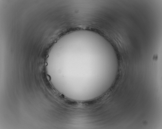 X0000112850656200908211032