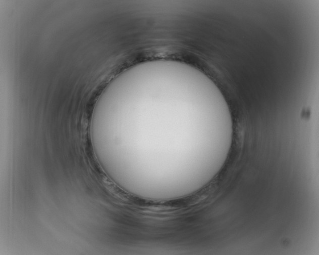 X0000112850657200908211032