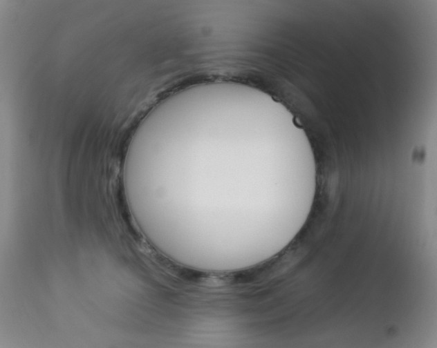 X0000112850660200908211032