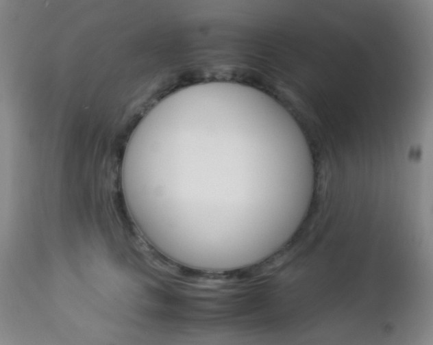 X0000112850661200908211032