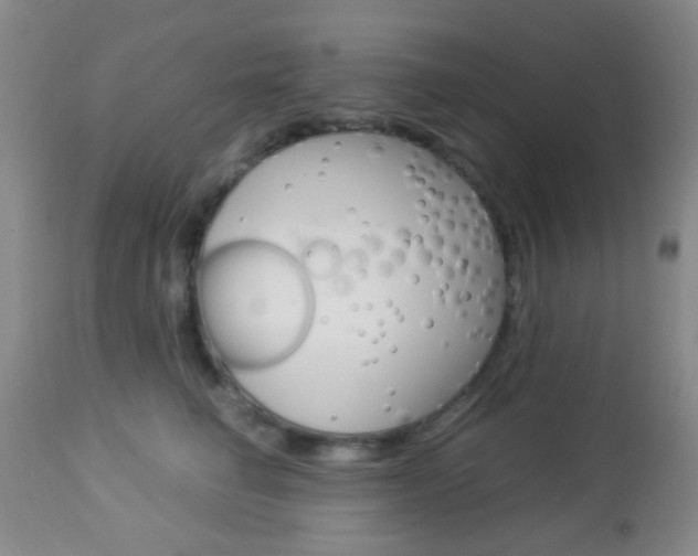 X0000112850662200908211032