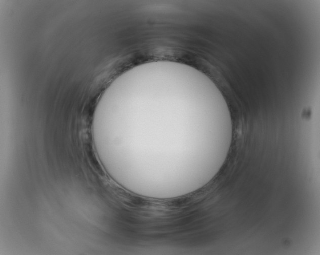 X0000112850663200908211032