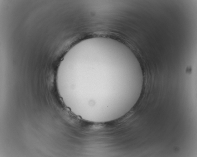 X0000112850668200908211032