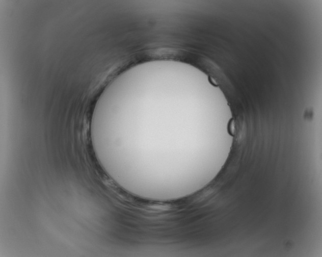 X0000112850669200908211032