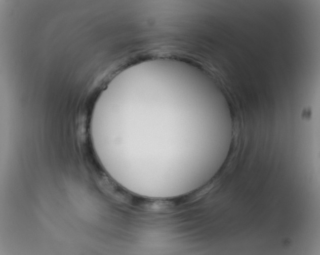 X0000112850670200908211032