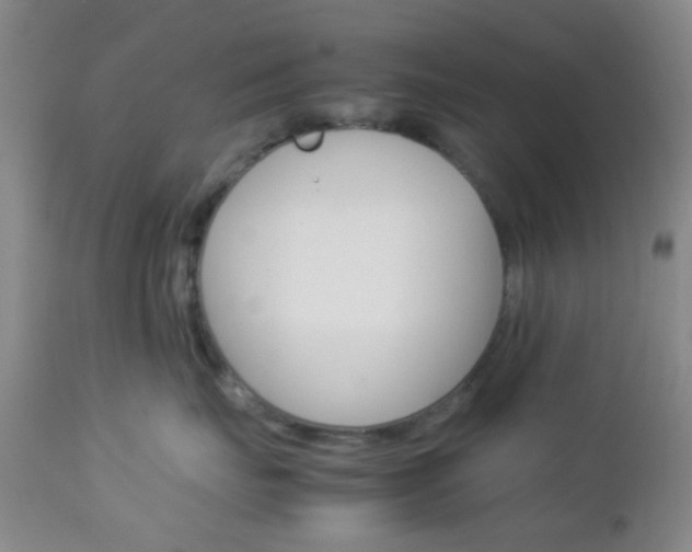 X0000112850671200908211032