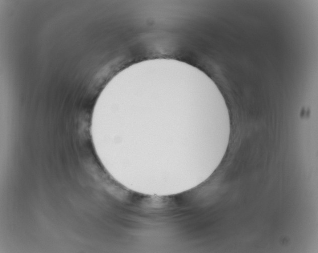 X0000112850672200908211032