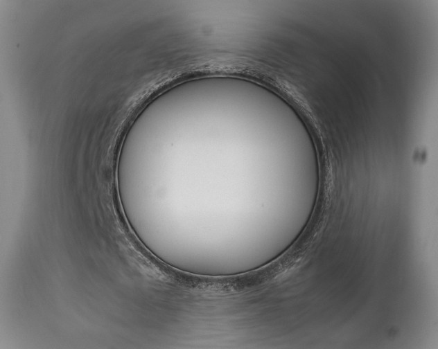 X0000112850673200908211031