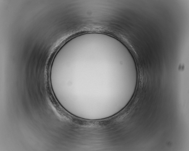 X0000112850674200908211031