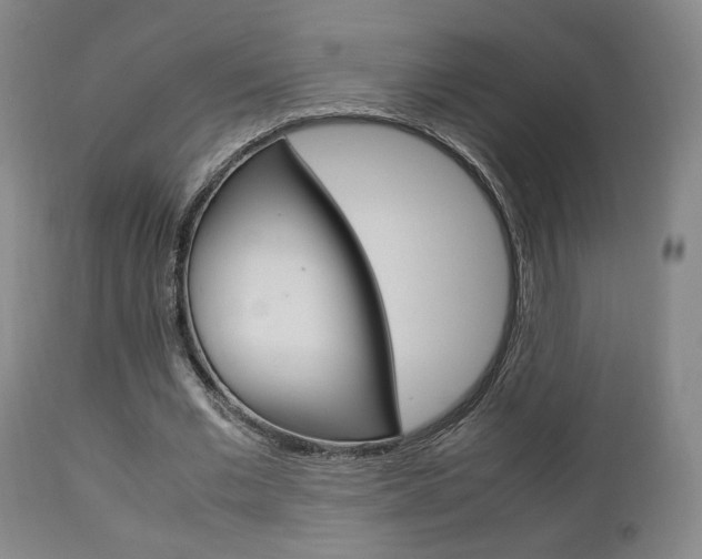X0000112850677200908211031