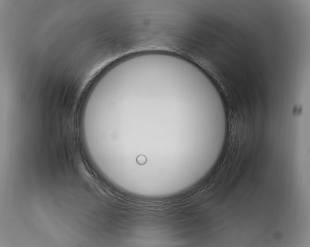 X0000112850680200908211031