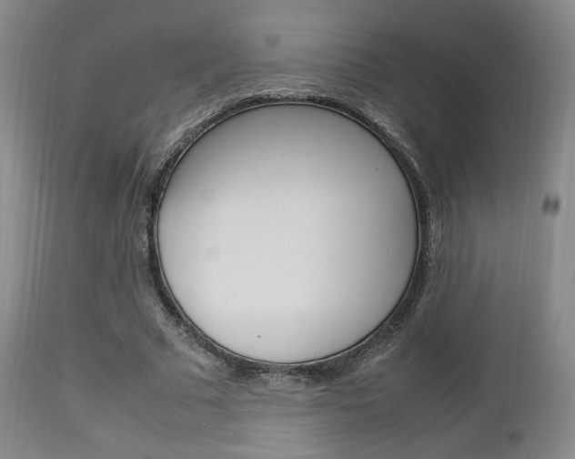 X0000112850681200908211031
