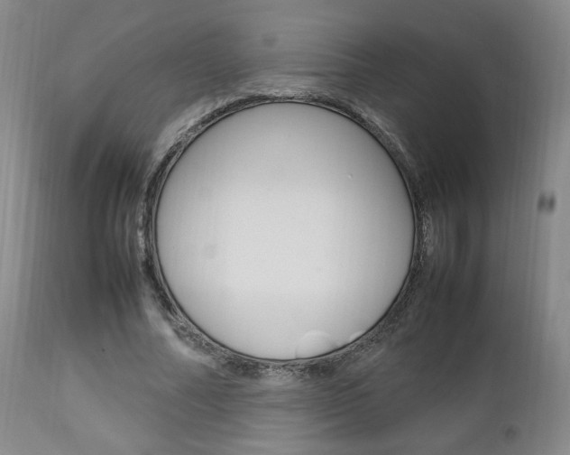 X0000112850682200908211031
