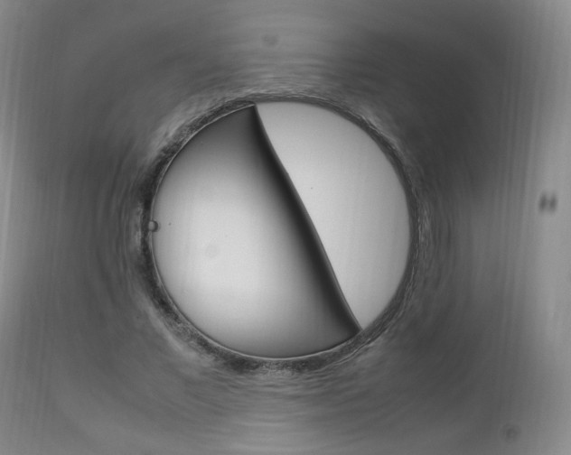 X0000112850685200908211031