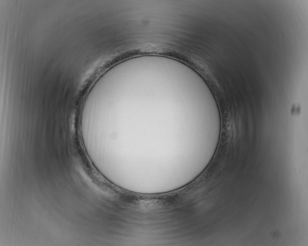 X0000112850686200908211031