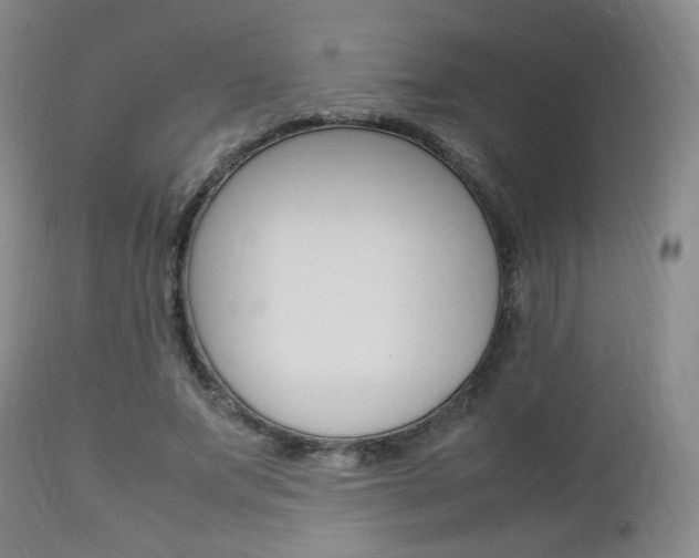 X0000112850687200908211031