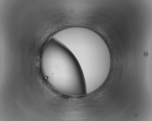 X0000112850689200908211031