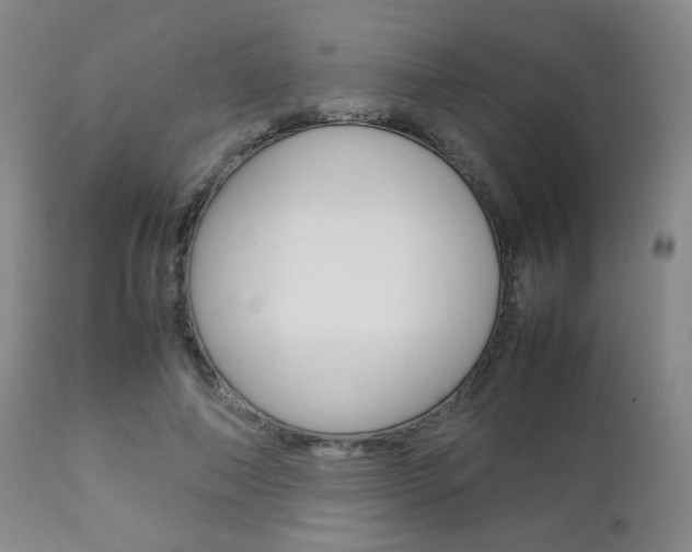 X0000112850690200908211031