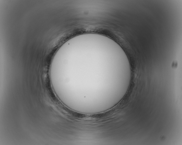X0000112850691200908211031