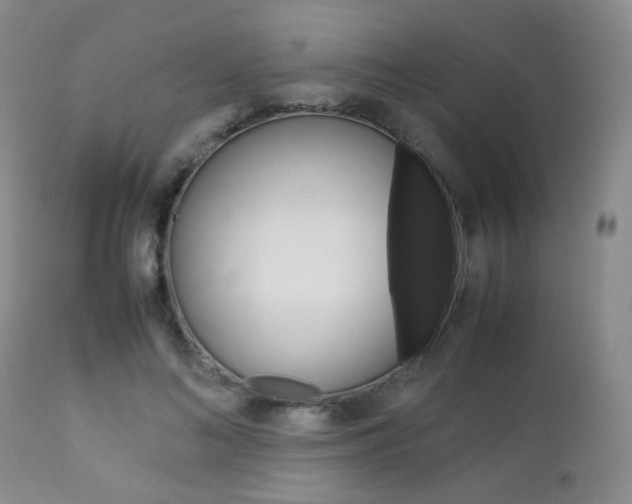 X0000112850692200908211031