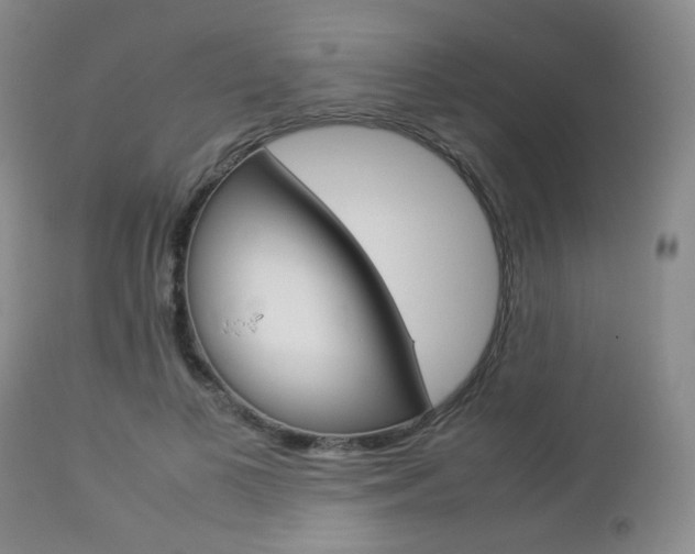 X0000112850693200908211031