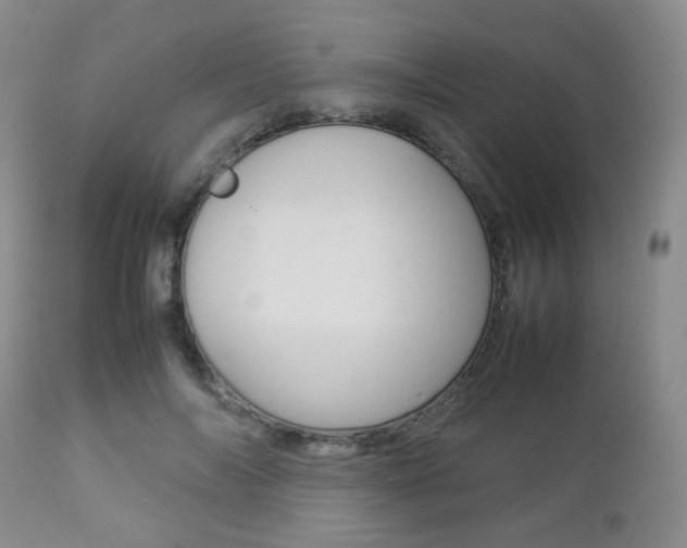 X0000112850694200908211031