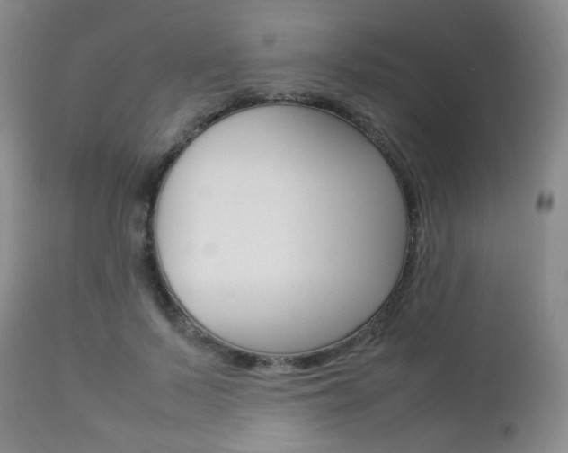 X0000112850695200908211031