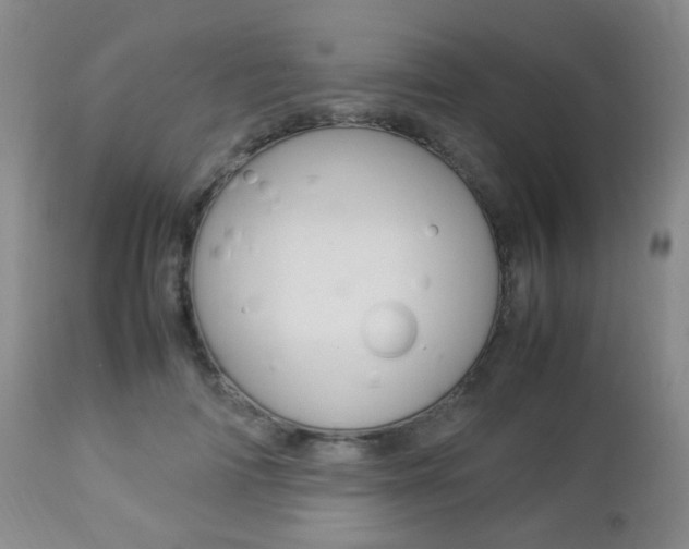 X0000112850698200908211031
