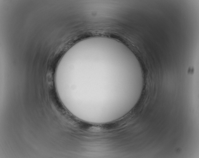 X0000112850699200908211031