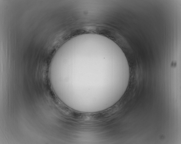 X0000112850702200908211031
