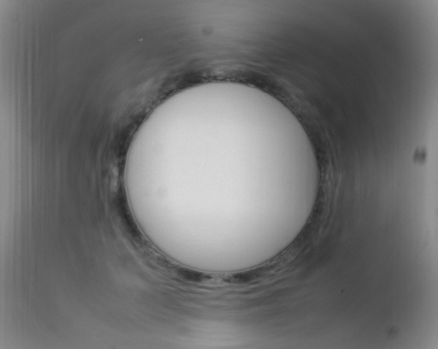 X0000112850703200908211031