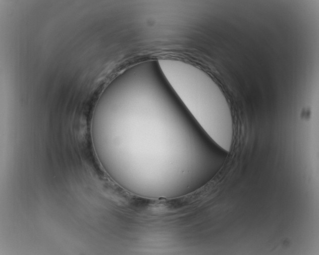 X0000112850704200908211031