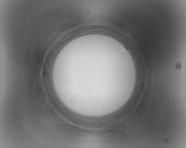 X0000112850705200908211031