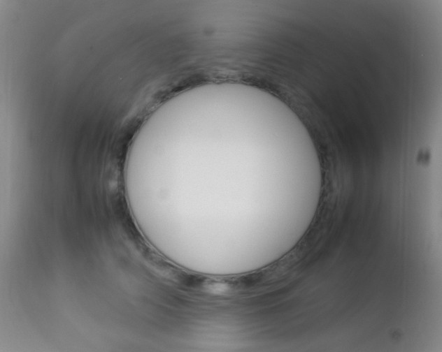 X0000112850706200908211031