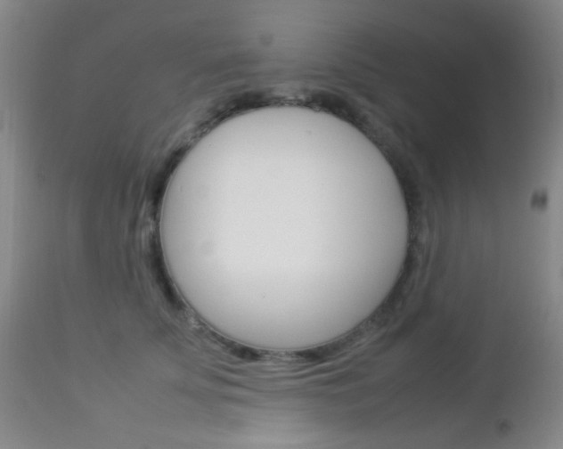 X0000112850707200908211031