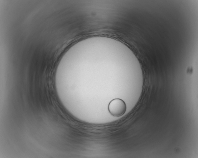 X0000112850708200908211031