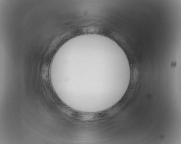 X0000112850709200908211031